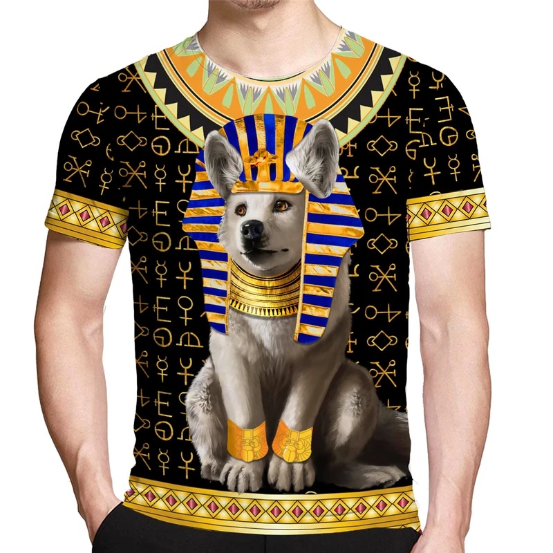 Camiseta Personalizada con tu  - Street Fashion Egypt reseña y precio